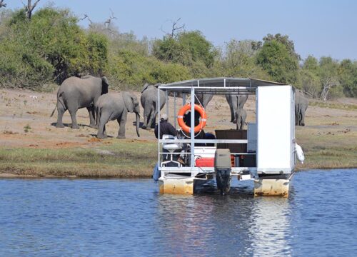 Chobe Day Trip (Botswana)