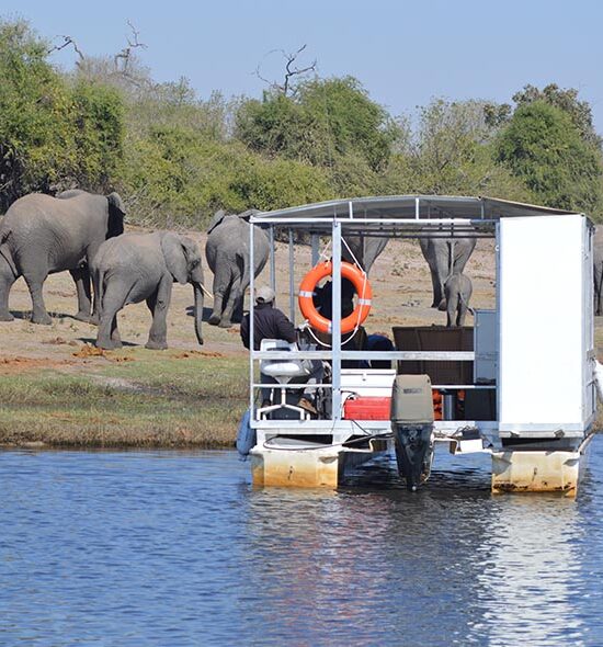 Chobe Day Trip (Botswana)