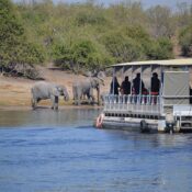 Safari boat with clients enjoying a game viewing cruise in Chobe National Park, with elephants grazing on the riverbanks — ideal for where to stay in Victoria Falls visitors exploring the region.