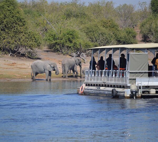 Chobe Boat Cruise